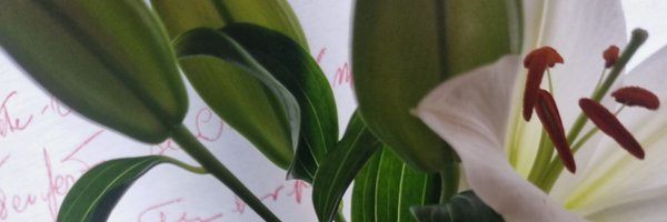MarisaHumanes Profile Banner