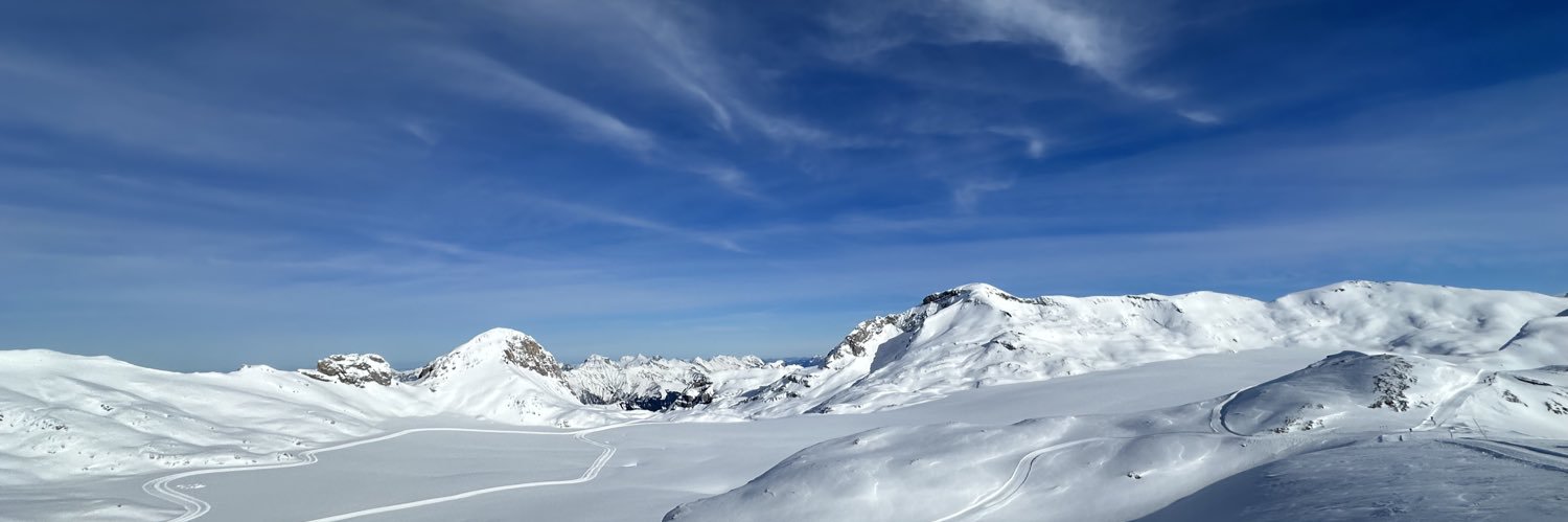 Luca Bonini 🇮🇹 🇺🇸 🇮🇹 🇺🇸 banner