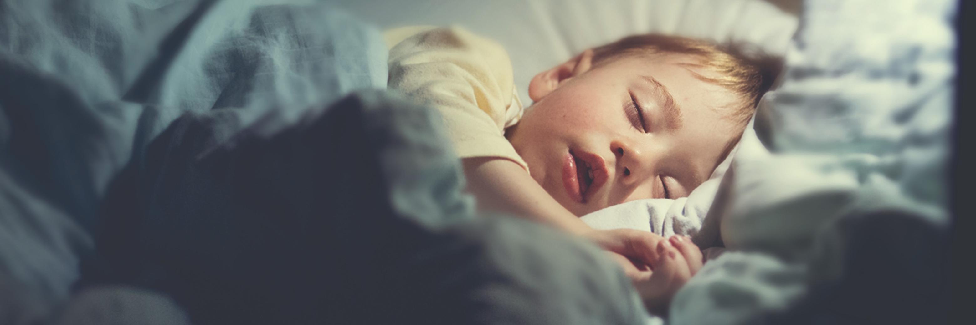 SELDOC Healthcare banner