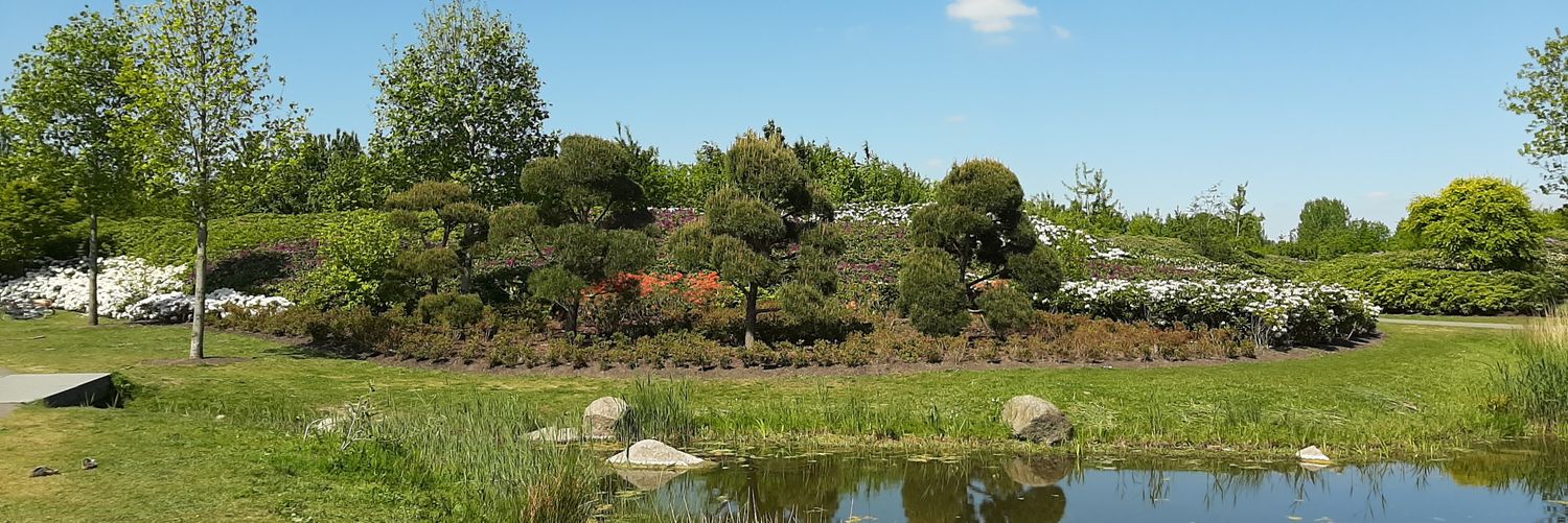 Reinate Brouwer banner