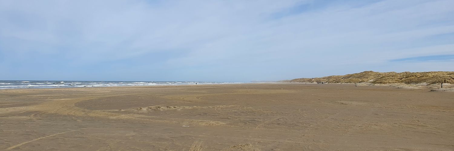 Michael Stenvei banner