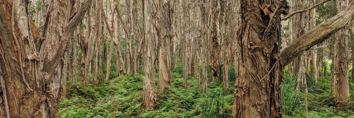 Kristen Hunter banner