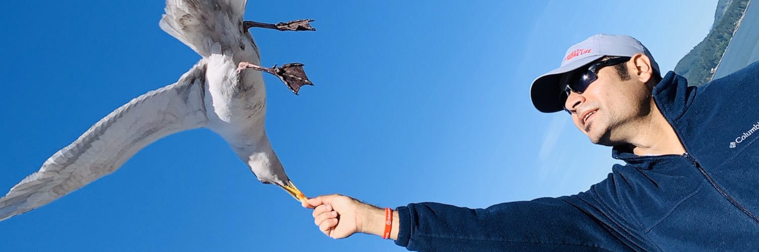 IMAKARATE's profile banner image