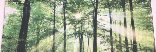 FosteringCompa1 Profile Banner