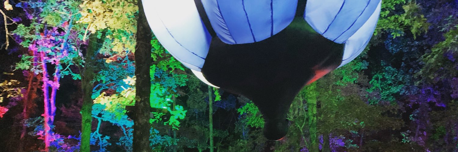 lexisrayne_'s profile banner image