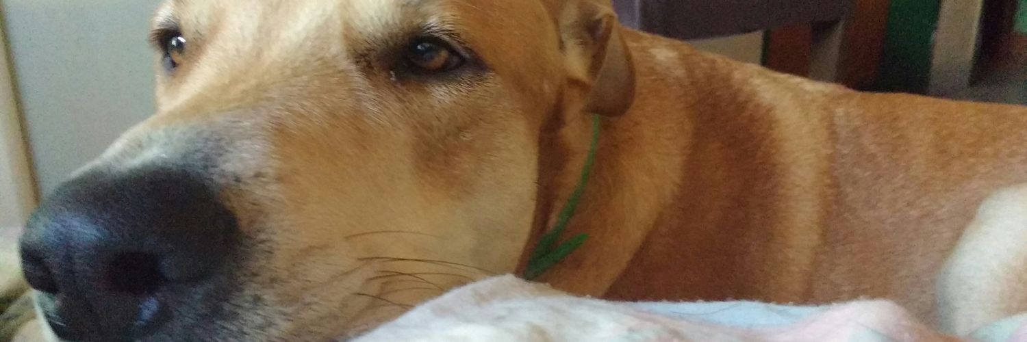 VickyEspul1's profile banner image