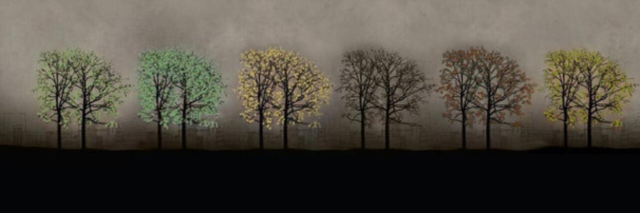 NoviaTrofeo's profile banner image