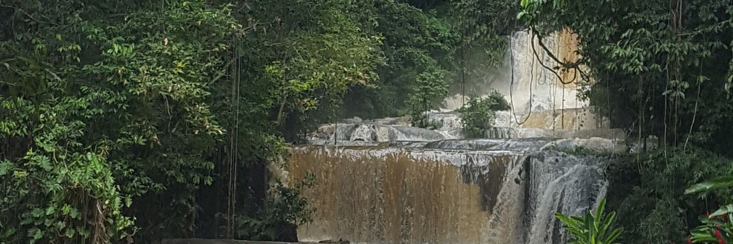 phucngo's profile banner image