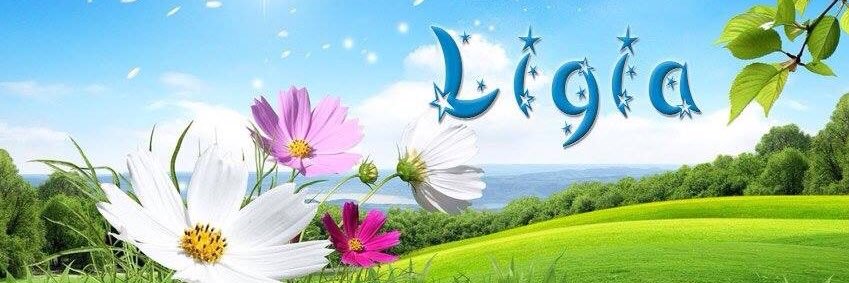 Lega263's profile banner image