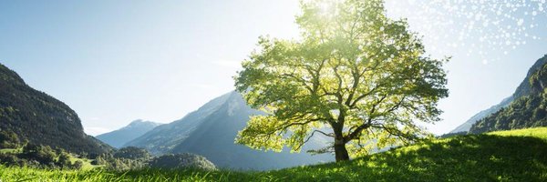 open_ENTRANCE Profile Banner