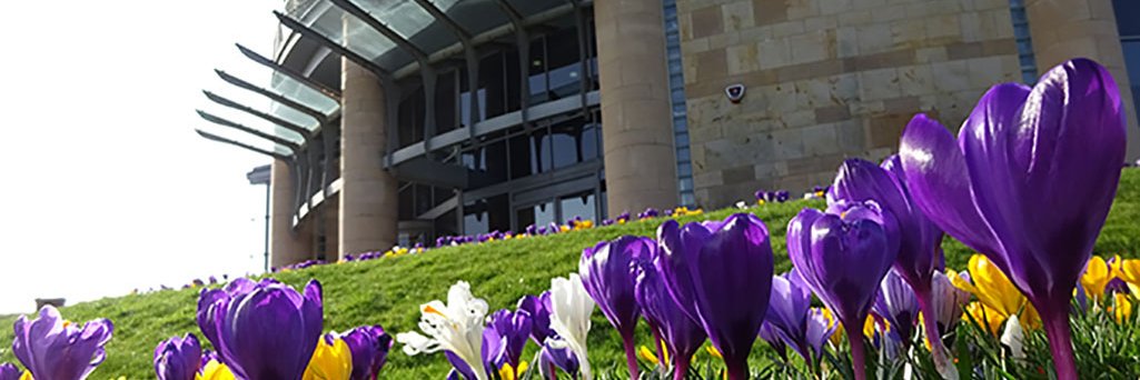 University of St Andrews School of Management banner