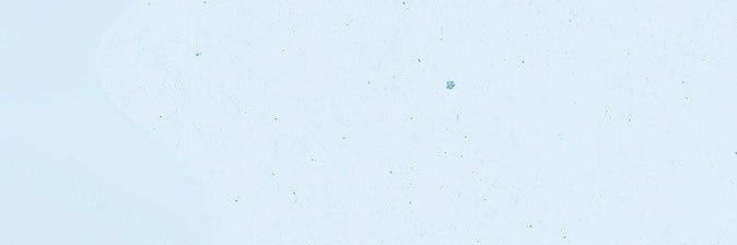 soniasanchezzo's profile banner image