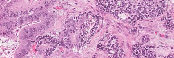 gtevaristomd Profile Banner