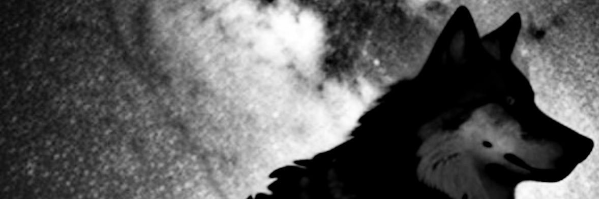 darthvaderTR banner