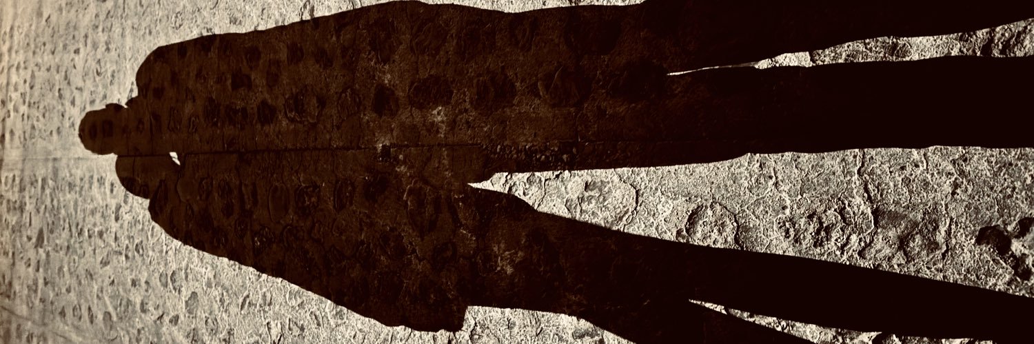 arqteagan's profile banner image