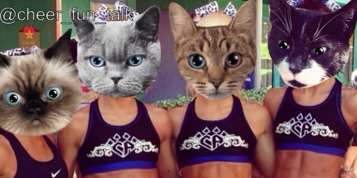 Cheer_fun_talk's profile banner image