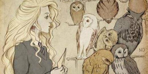 VodkaTonight's profile banner image