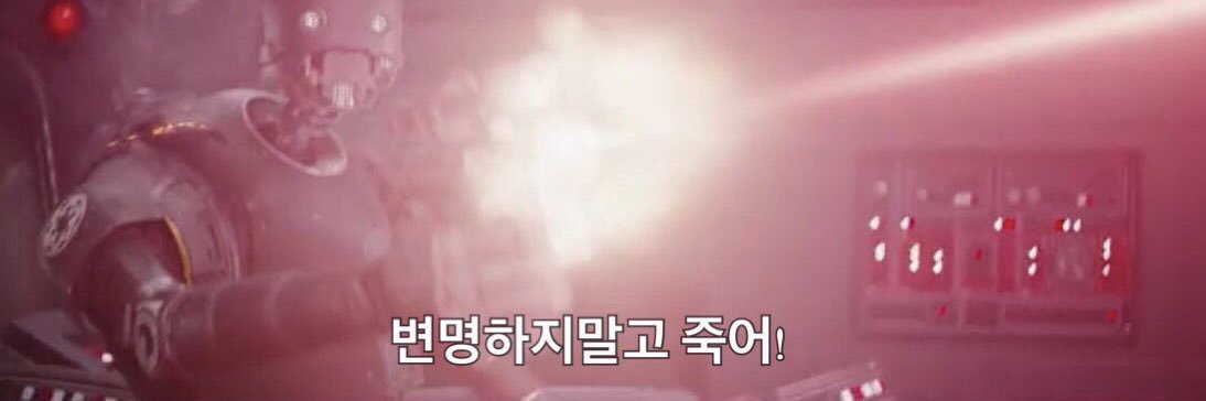 고양이씨 banner