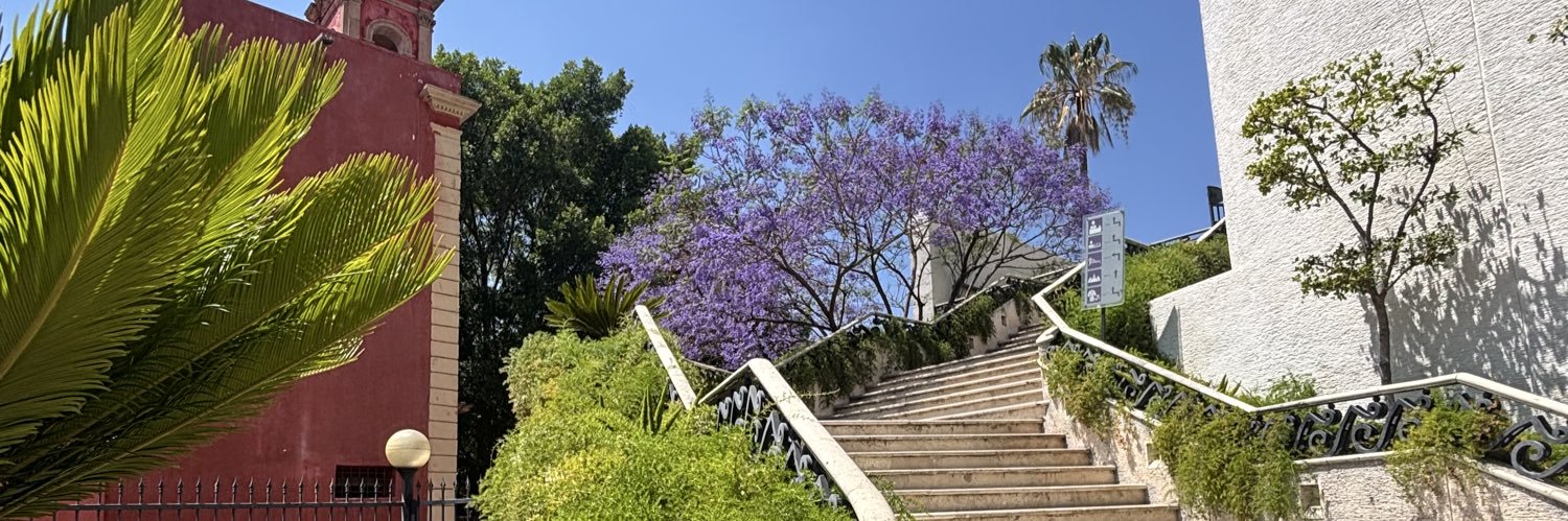 Lui en 𝕏land banner