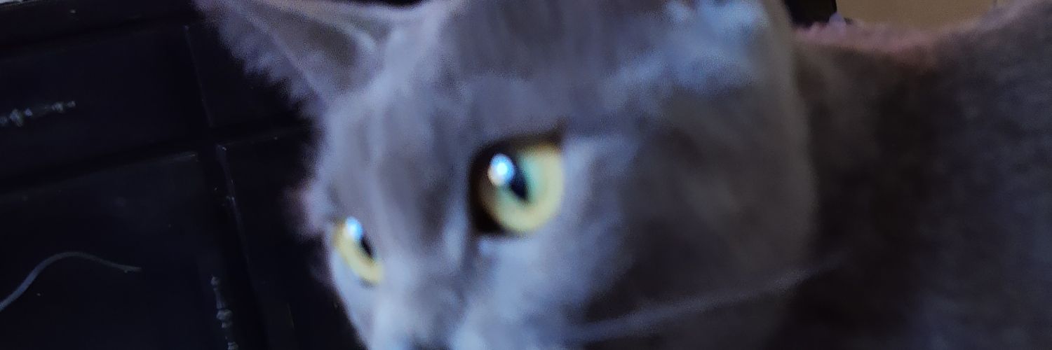 RubenzPedraza's profile banner image