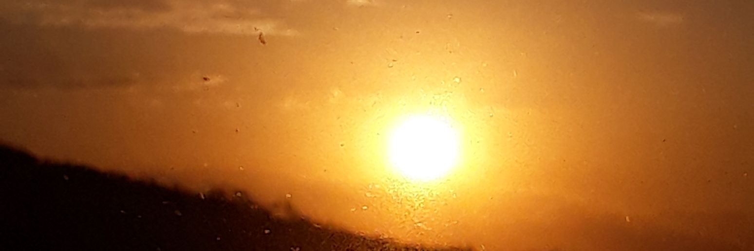 EmanuelCSantos's profile banner image