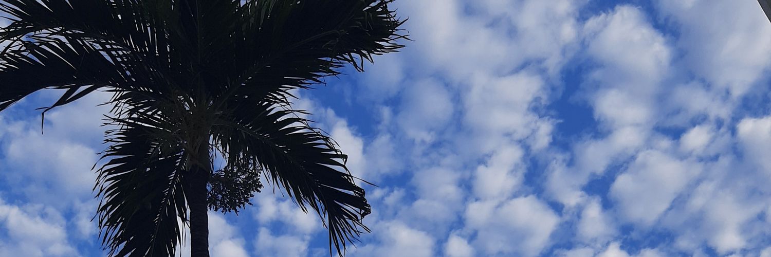 Yorlet's profile banner image