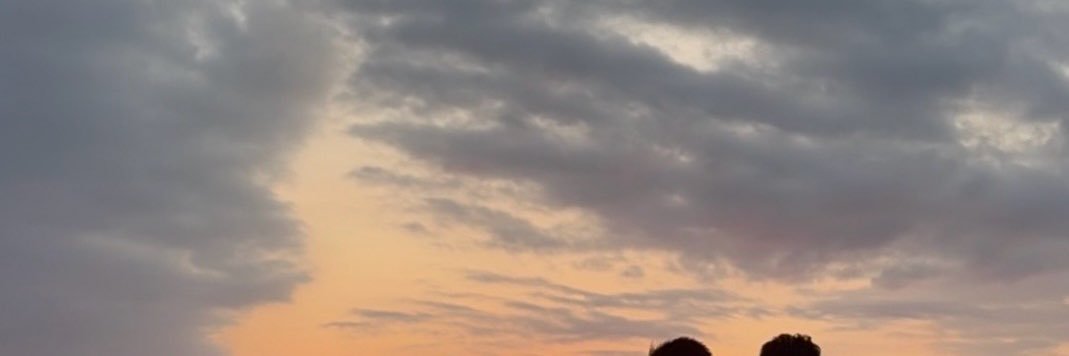 fitomd's profile banner image