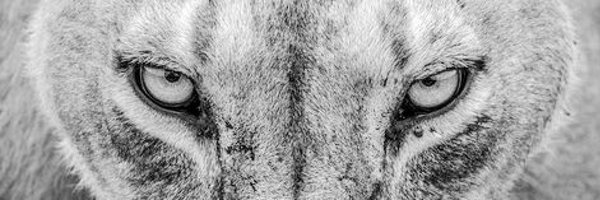 ClintonEfinda Profile Banner