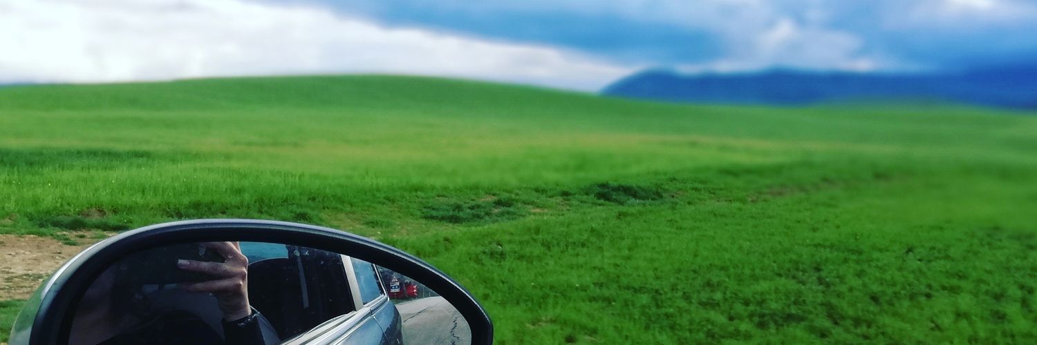 LisaGiuggiolini's profile banner image