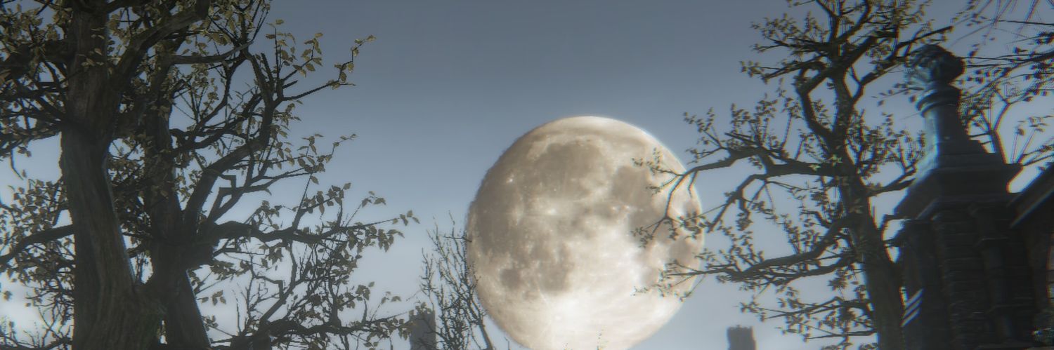 yuz's banner