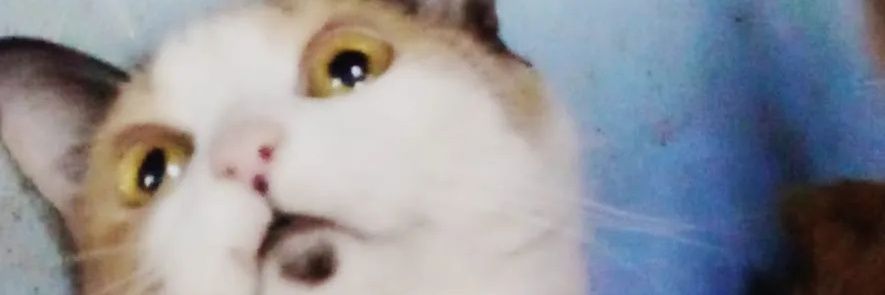 Alejob404 banner