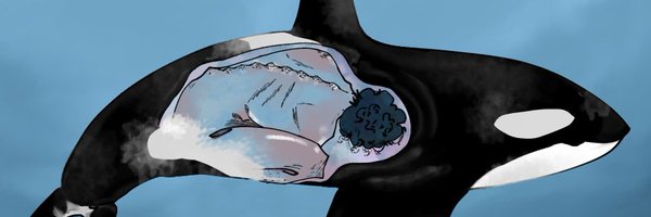 redifroga Profile Banner