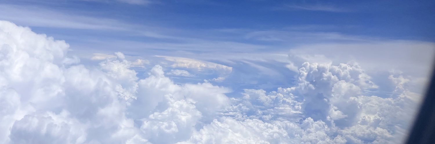 luisabarreiro's profile banner image