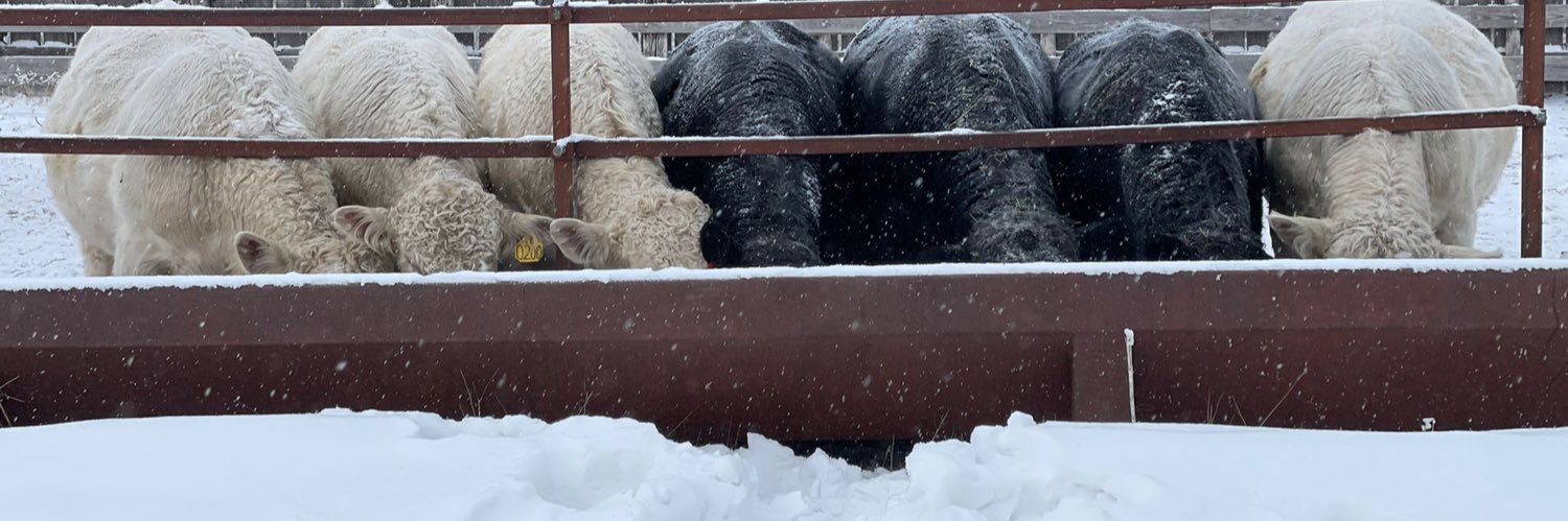 Felipe Andriolo banner