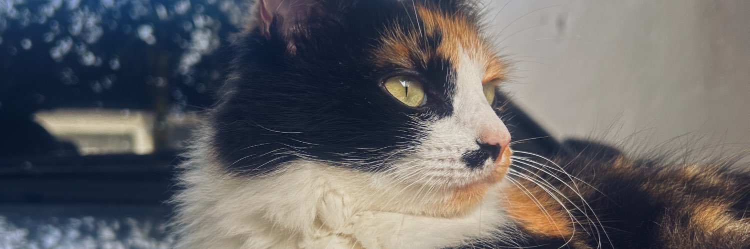 niquekirsch's profile banner image
