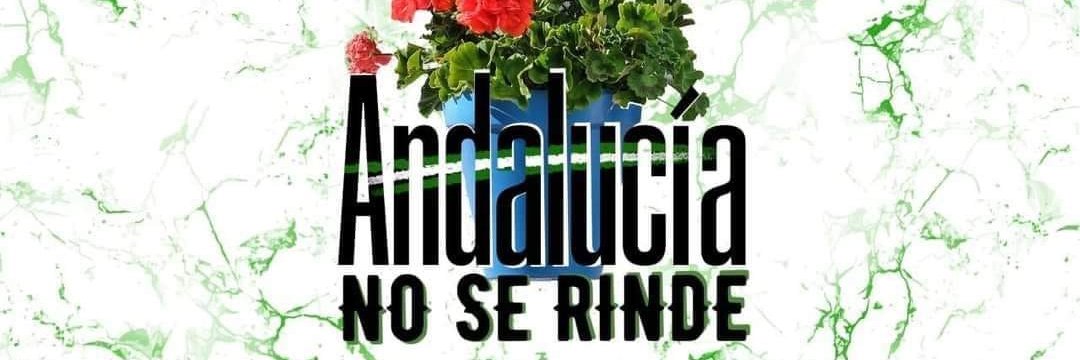 evaluquebi's profile banner image