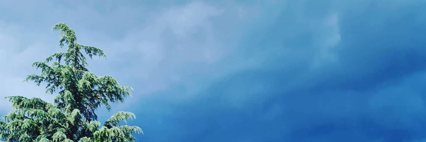 diegoanto1695's profile banner image