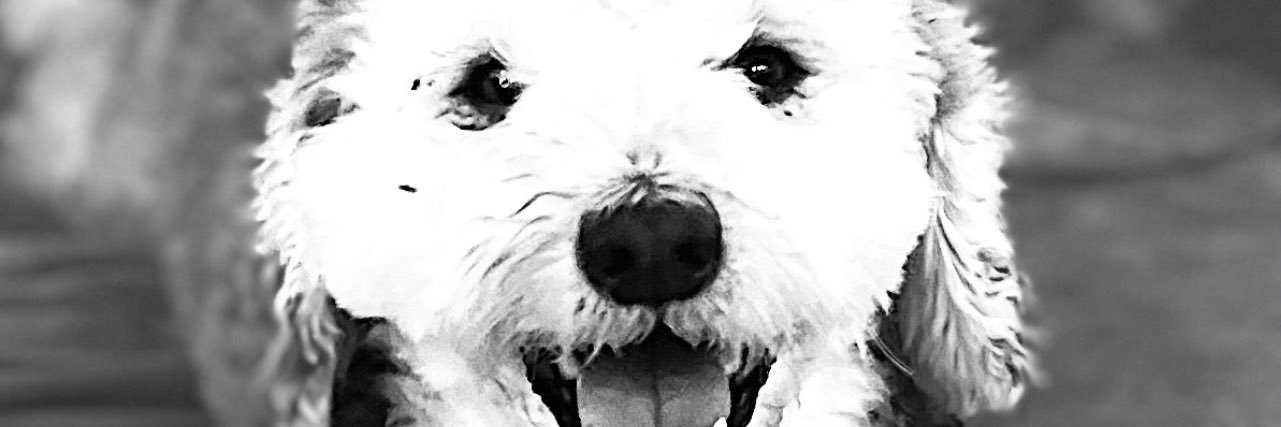 Mike banner
