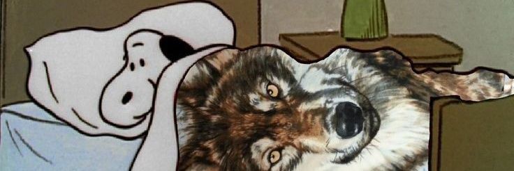_emeolg's profile banner image