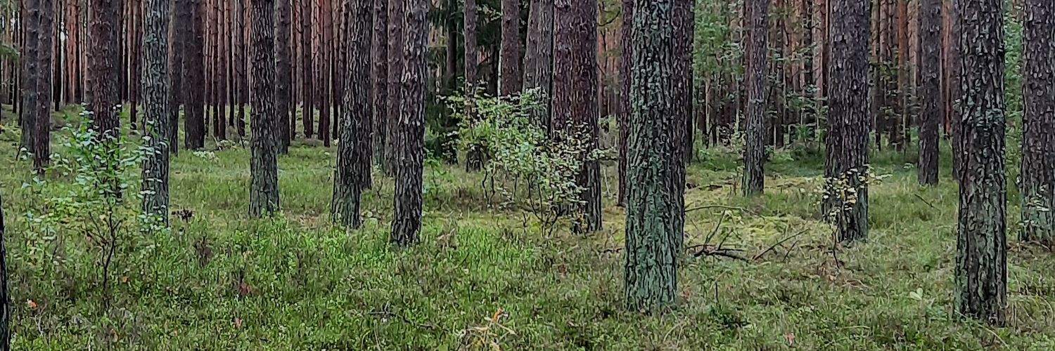 Effcia64's profile banner image