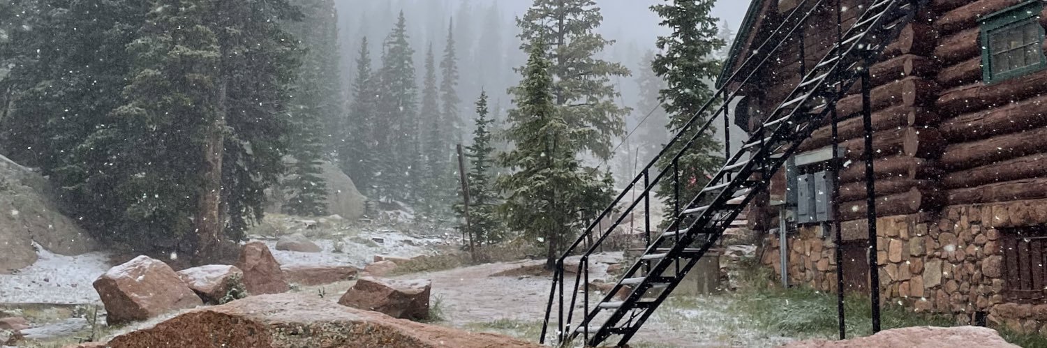 Christina French banner