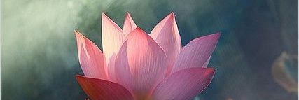 Figure It In, LLC banner