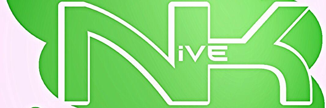 NivekStudies's profile banner image