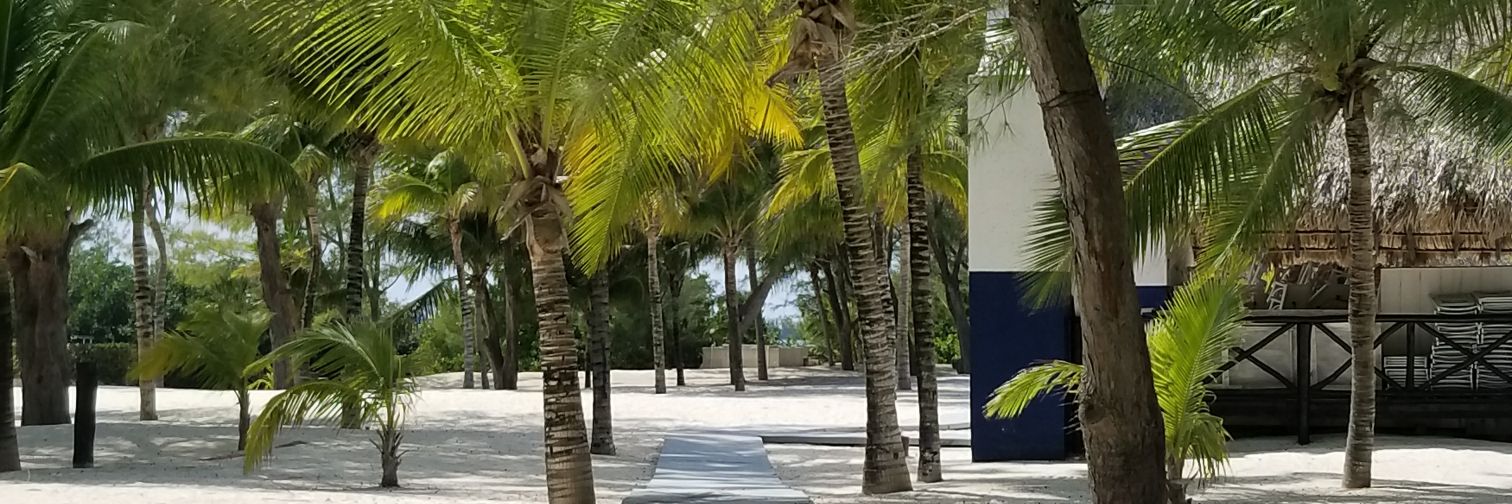 superlexi13's profile banner image
