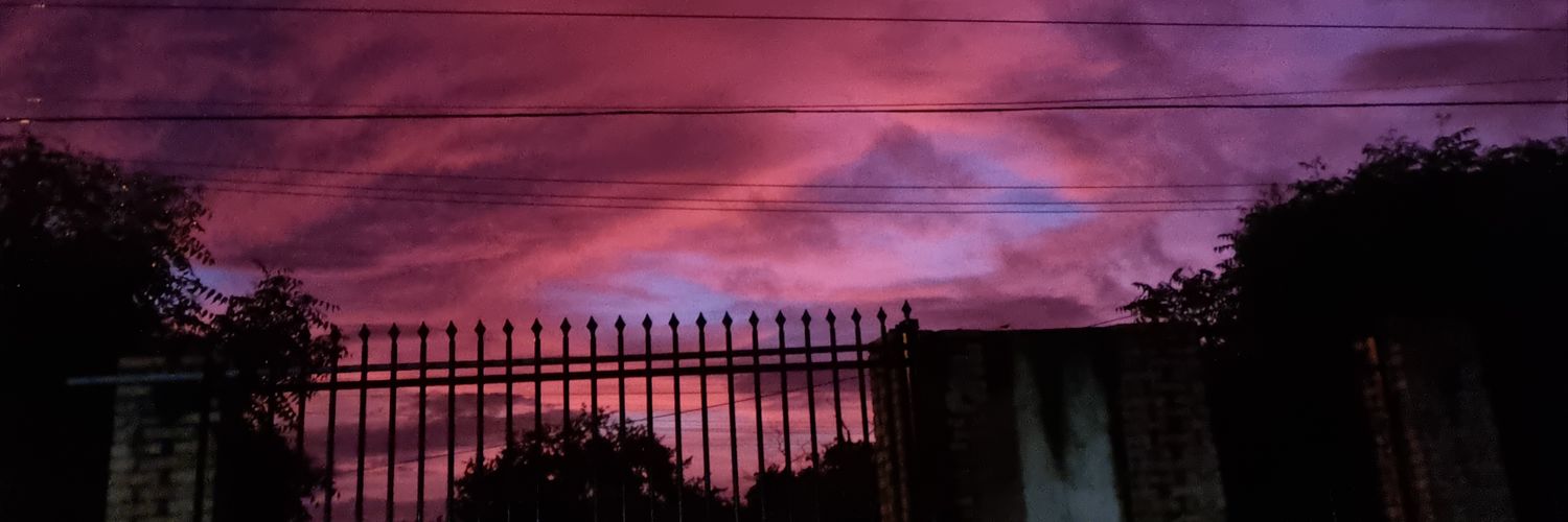 mfernandams21's profile banner image