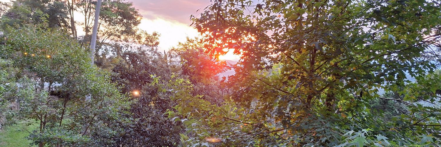 João Carlos Nóbrega banner