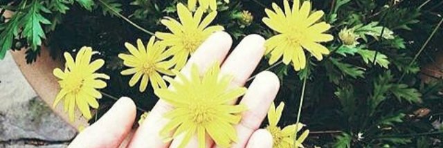 niyafatma's profile banner image