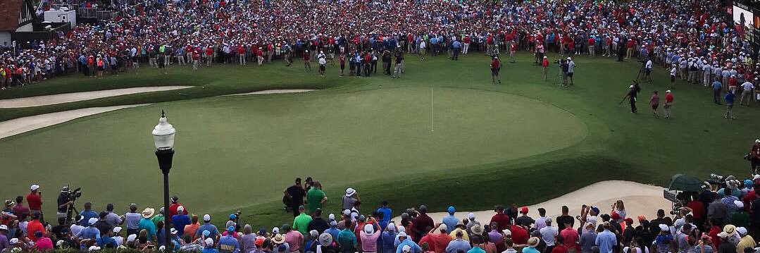 Cameron Lilly banner