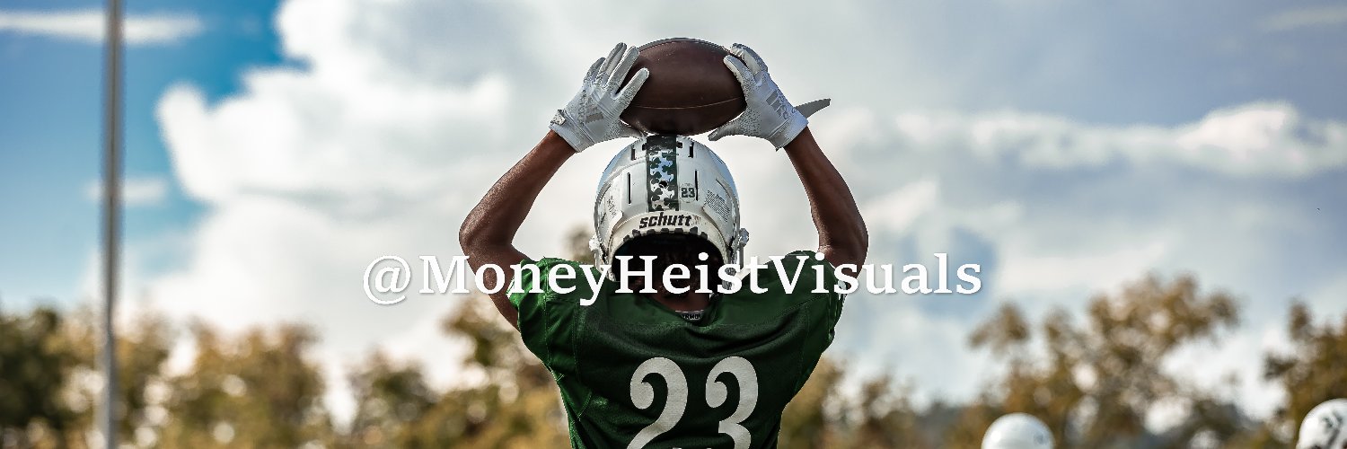 MoneyHeistVisuals banner