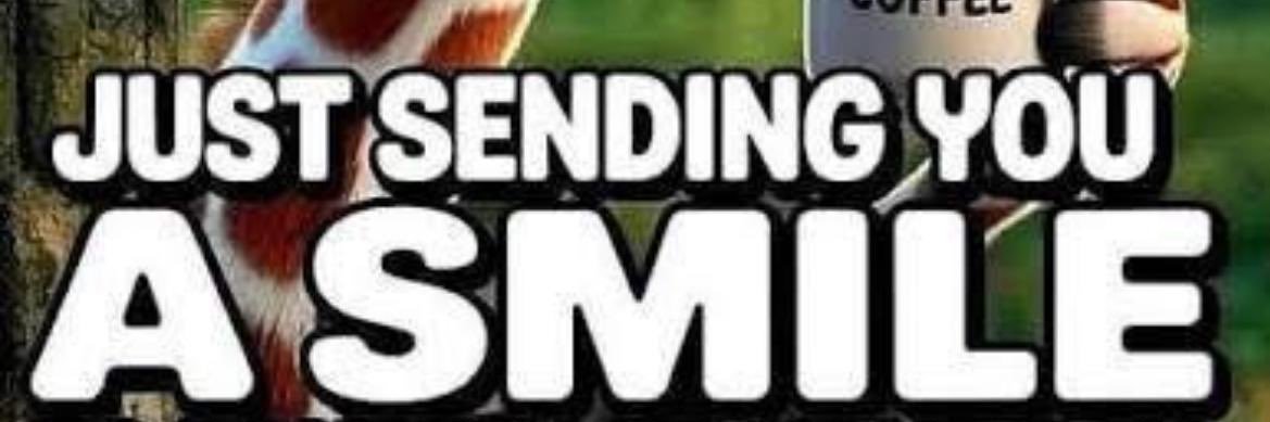 @mdickinson66 banner